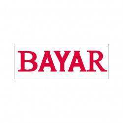 Bayar Stock Stamp BS-2, 38x14mm